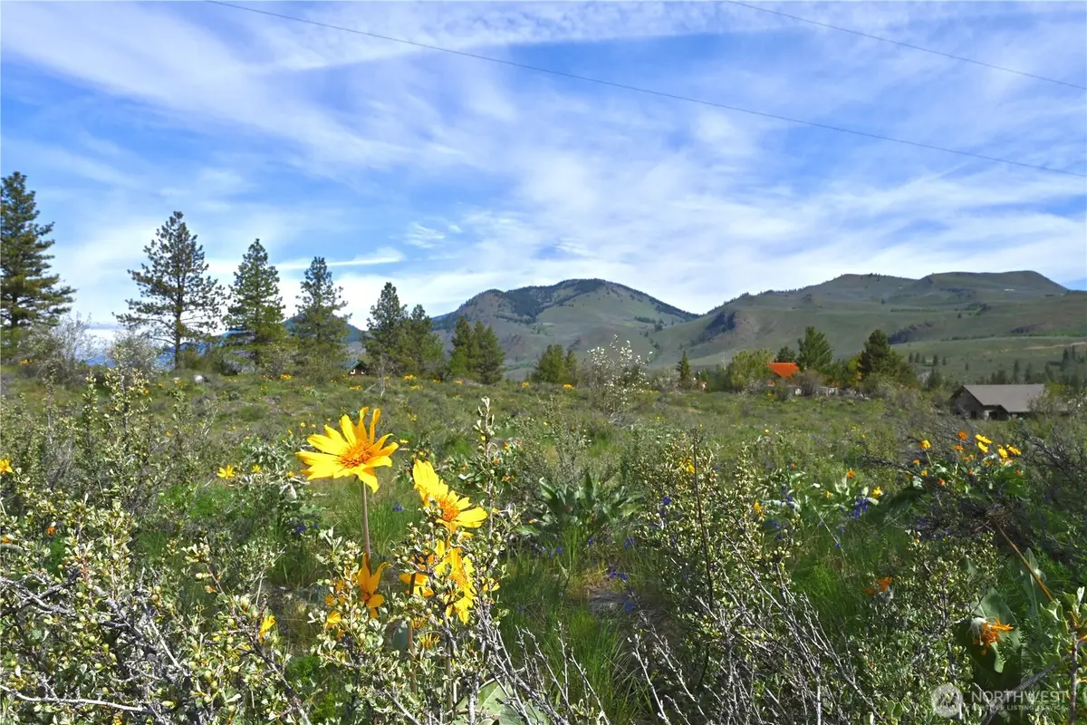 0 Green Meadows #10, Winthrop, WA 98862 - #1