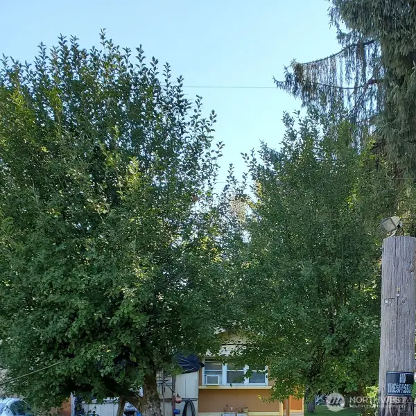 8811 State Route 92, Granite Falls, WA 98252