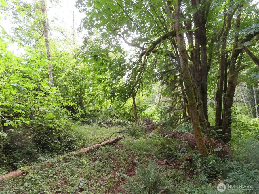 0 Valley View Drive #11, Mossyrock, WA 98564 - #2