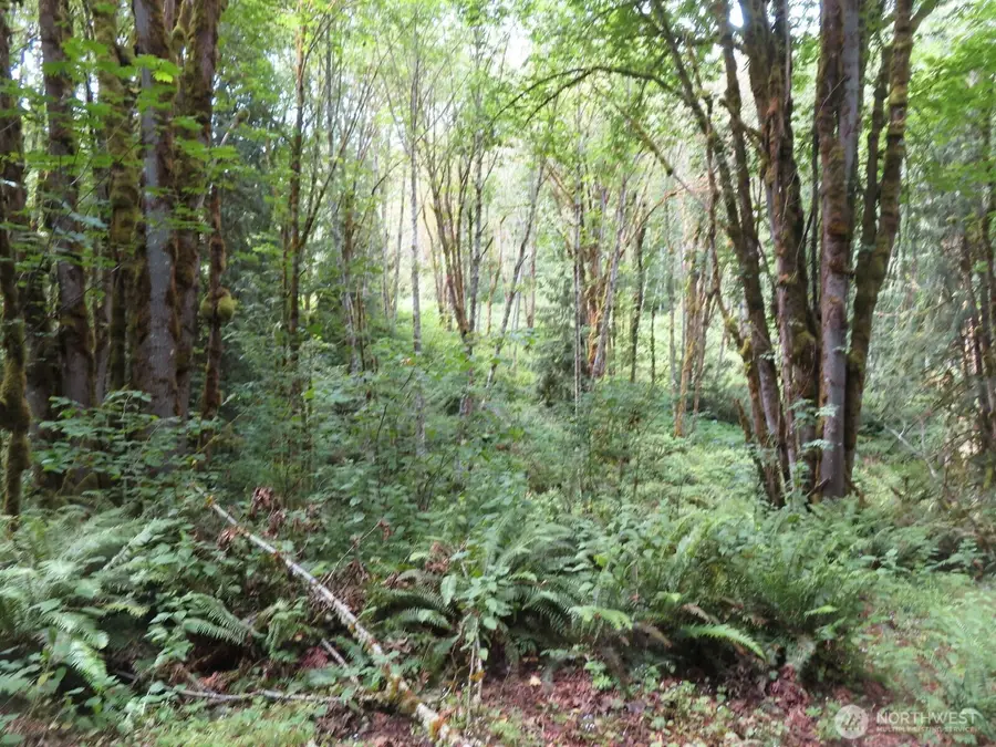 0 Valley View Drive #11, Mossyrock, WA 98564 - #3
