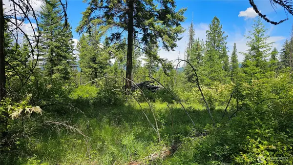 432 Bussard Lake Road, Loon Lake, WA 99148