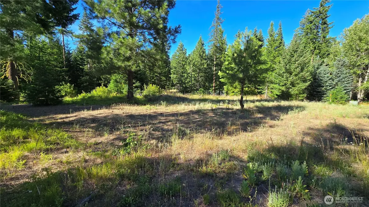3 -lots Westside Rd, Cle Elum, WA 98922 - #1