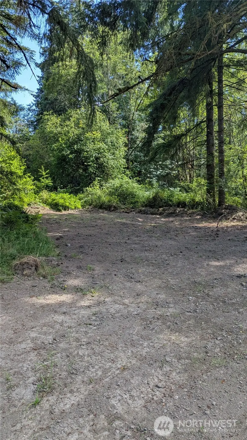 196 Jensen Road, Onalaska, WA 98570 - #3