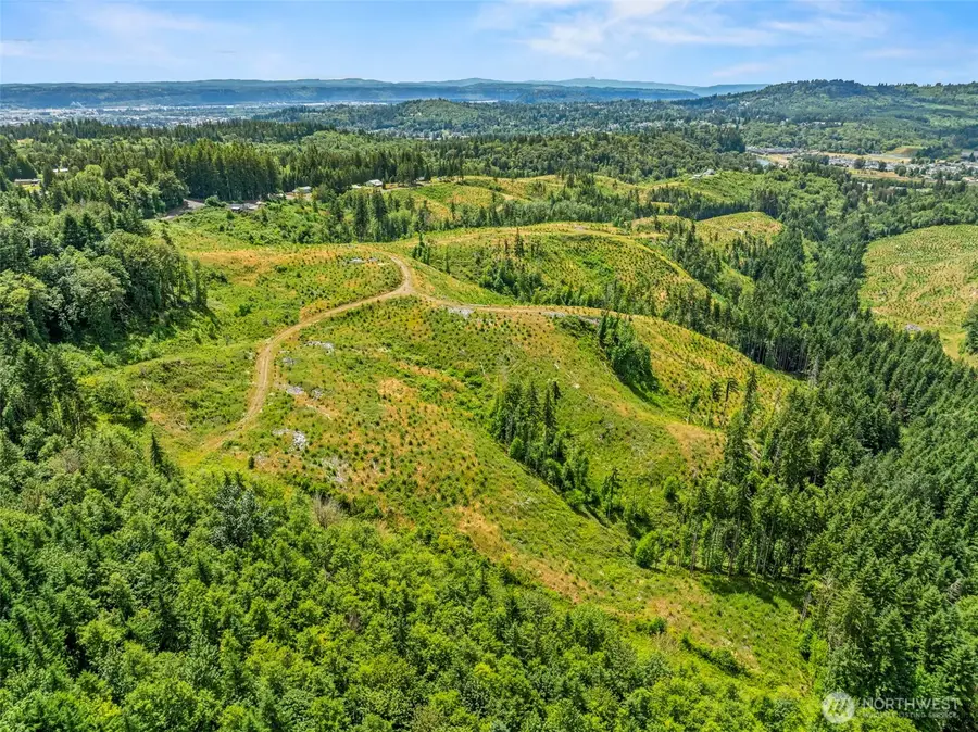 0 Holcomb Road, Kelso, WA 98626 - #3
