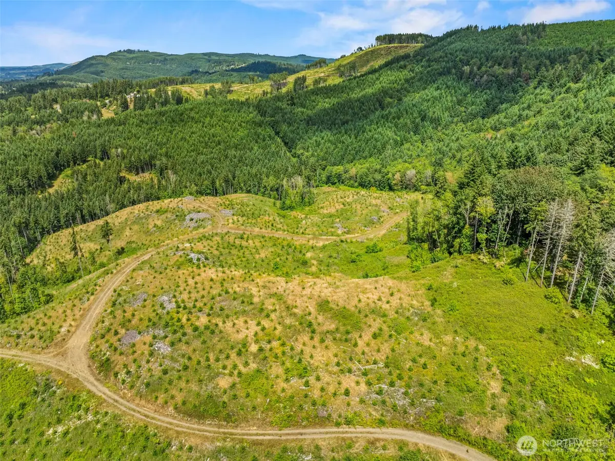 0 Holcomb Road #Lot C, Kelso, WA 98626 - #1