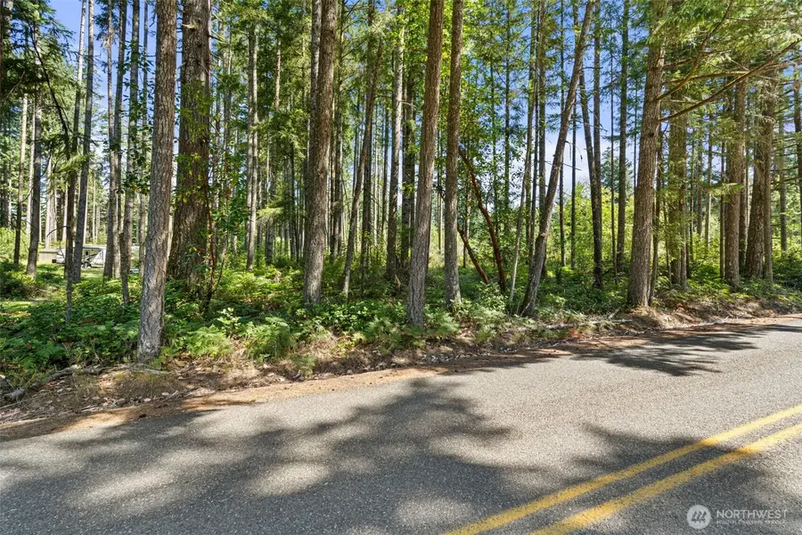 1030 E Phillips Lake Road, Shelton, WA 98584 - #3