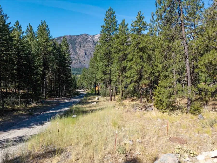 16 Highland Meadow Road #Lot 439 & 451, Winthrop, WA 98862 - #2