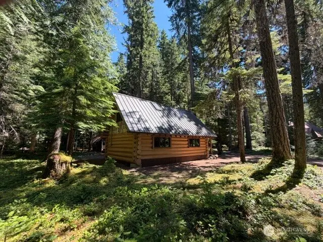 141 Silver Springs Fs Rd 7175, Enumclaw, WA 98022 - #1