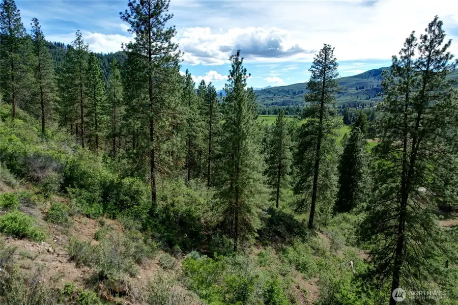 613 East Chewuch Road, Winthrop, WA 98862 - #3