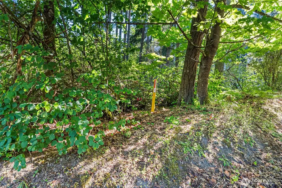 4618 Timber Lane Nw, Gig Harbor, WA 98335 - #3