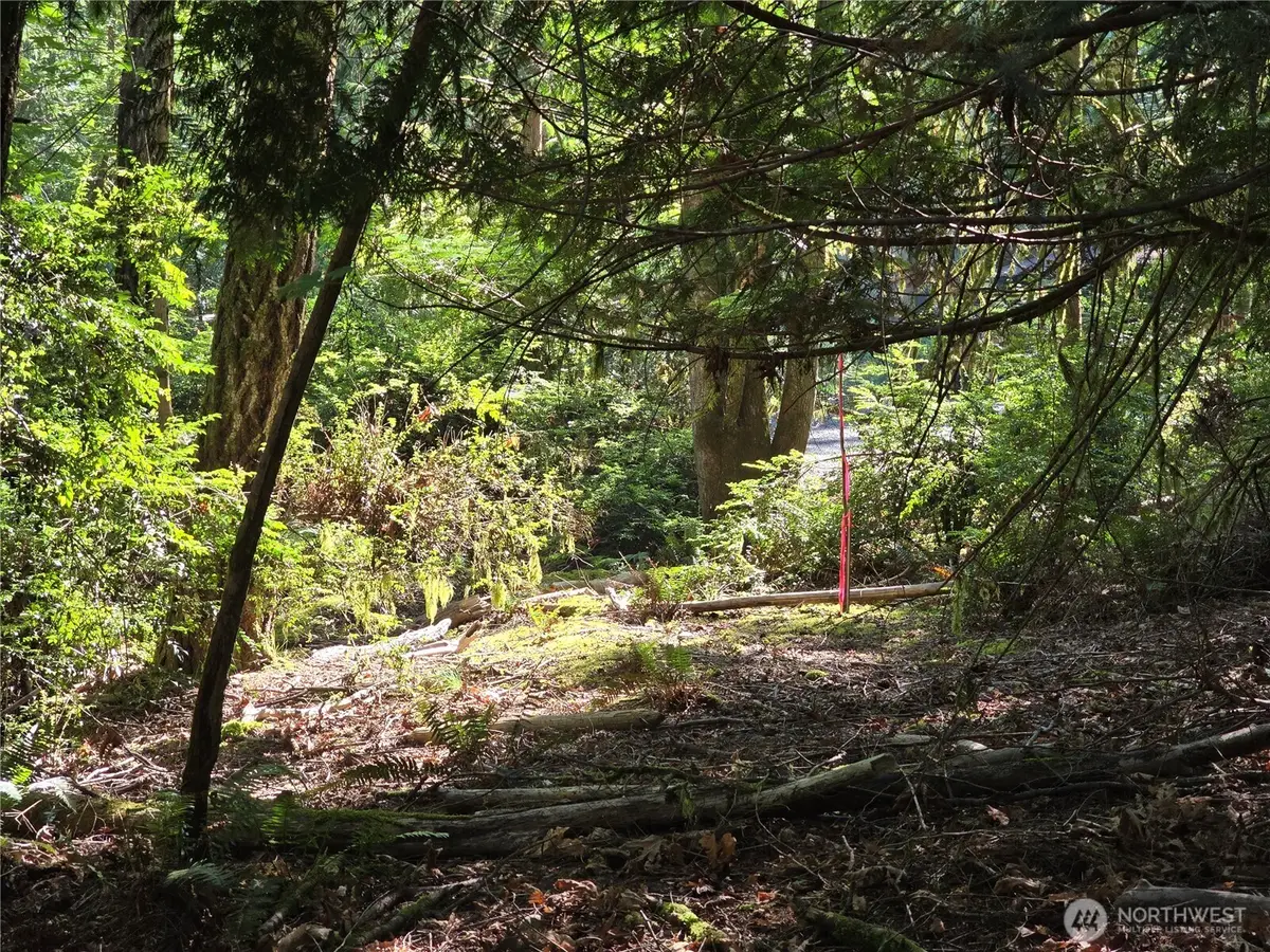 655 E Pointes Drive E #146, Shelton, WA 98584 - #1