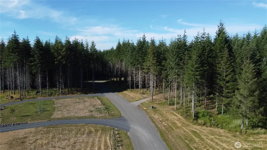 152 Vetter Lane, Onalaska, WA 98570 - #2
