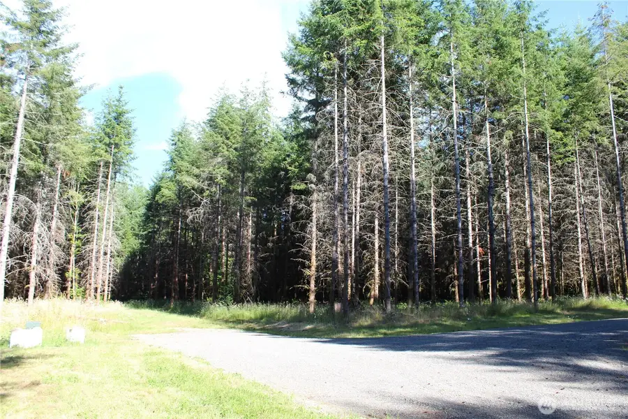 152 Vetter Lane, Onalaska, WA 98570 - #3