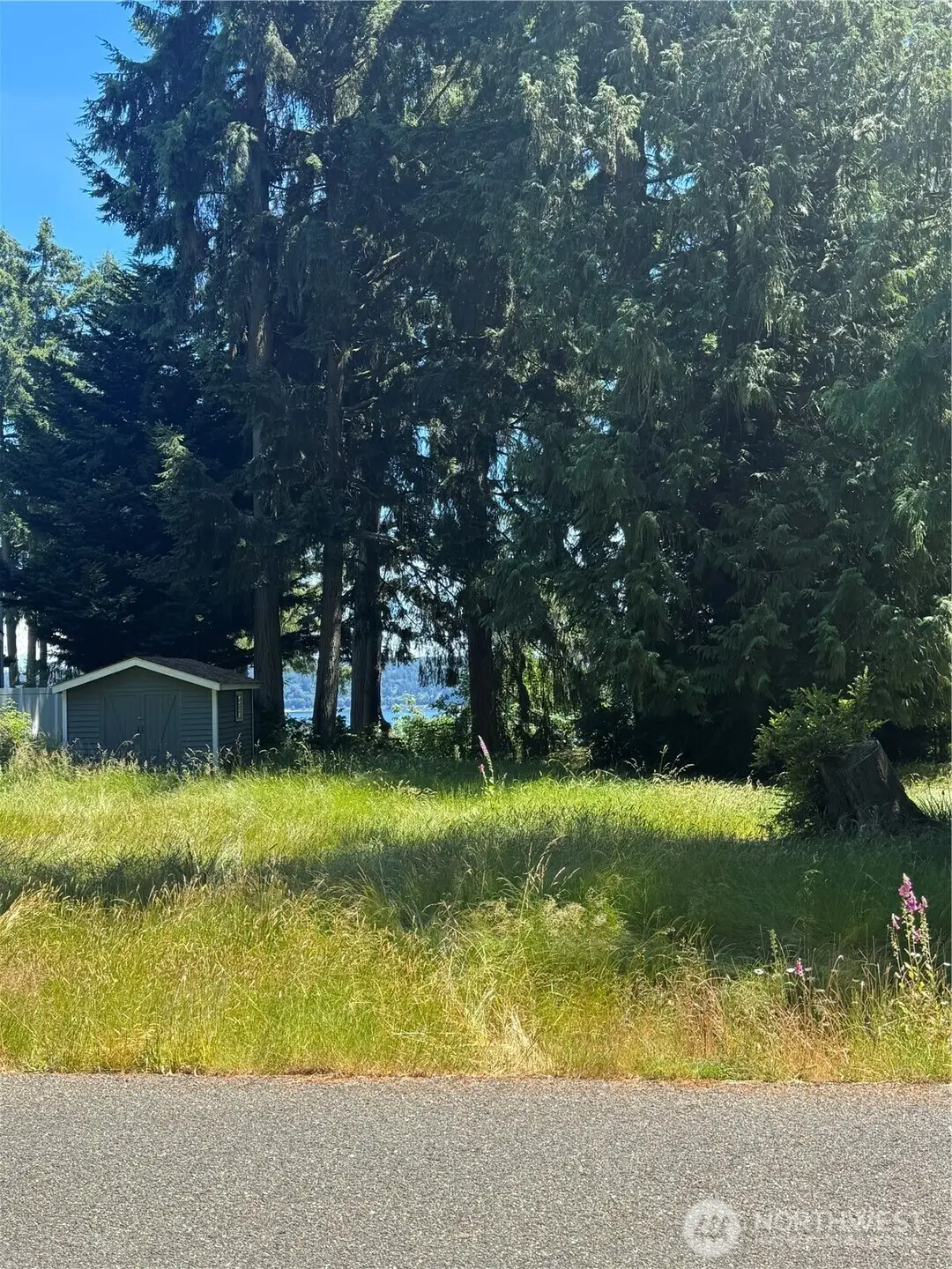 10409 108th Street #100, Anderson Island, WA 98303 - #1