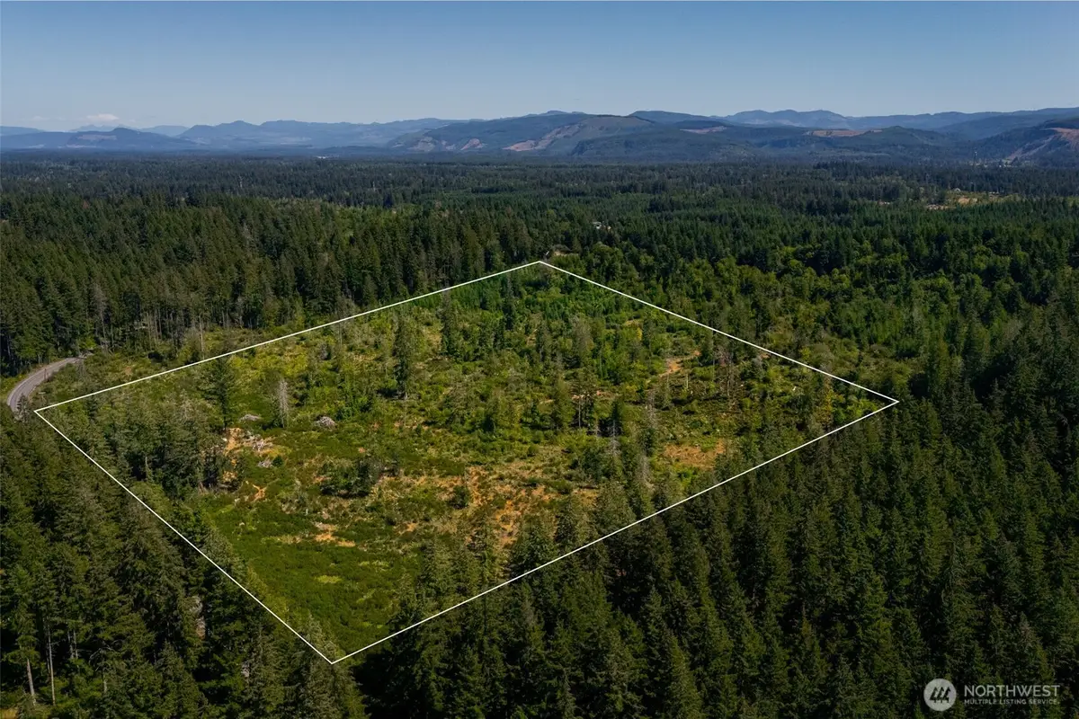 0 Algyer Road Se, Rainier, WA 98576 - #1