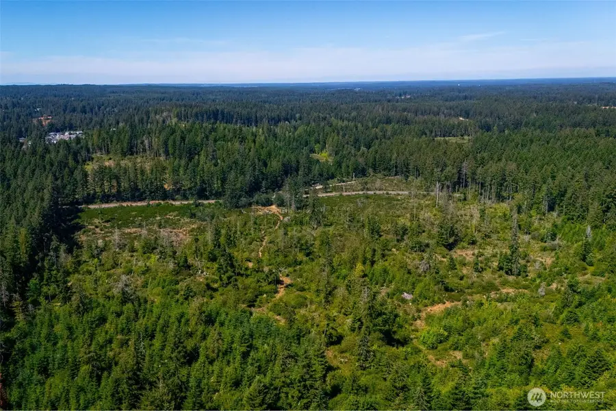0 Algyer Road Se, Rainier, WA 98576 - #2