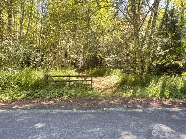 0 Pleasant Valley Rd, Morton, WA 98356 - #3
