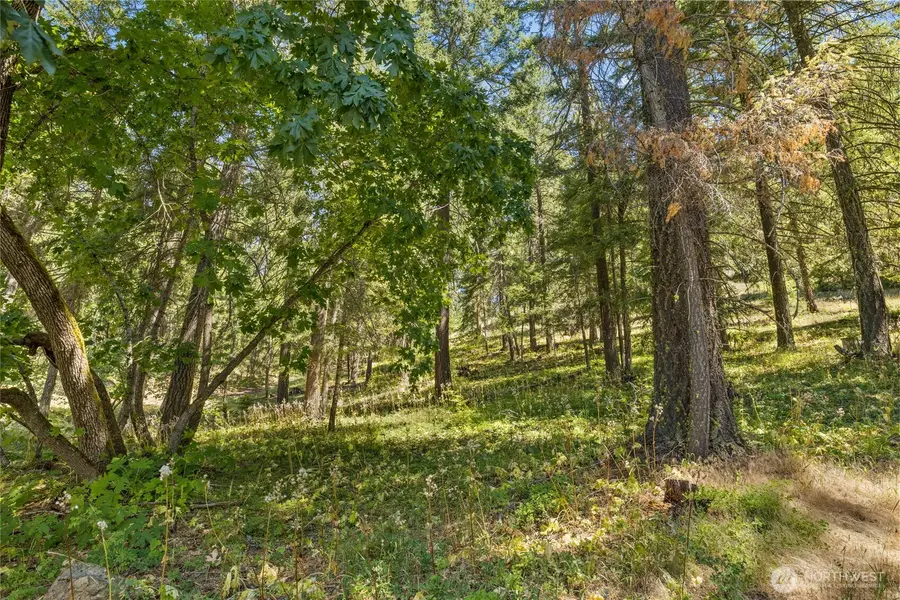 0 Lava Lane #14, Ronald, WA 98940 - #2