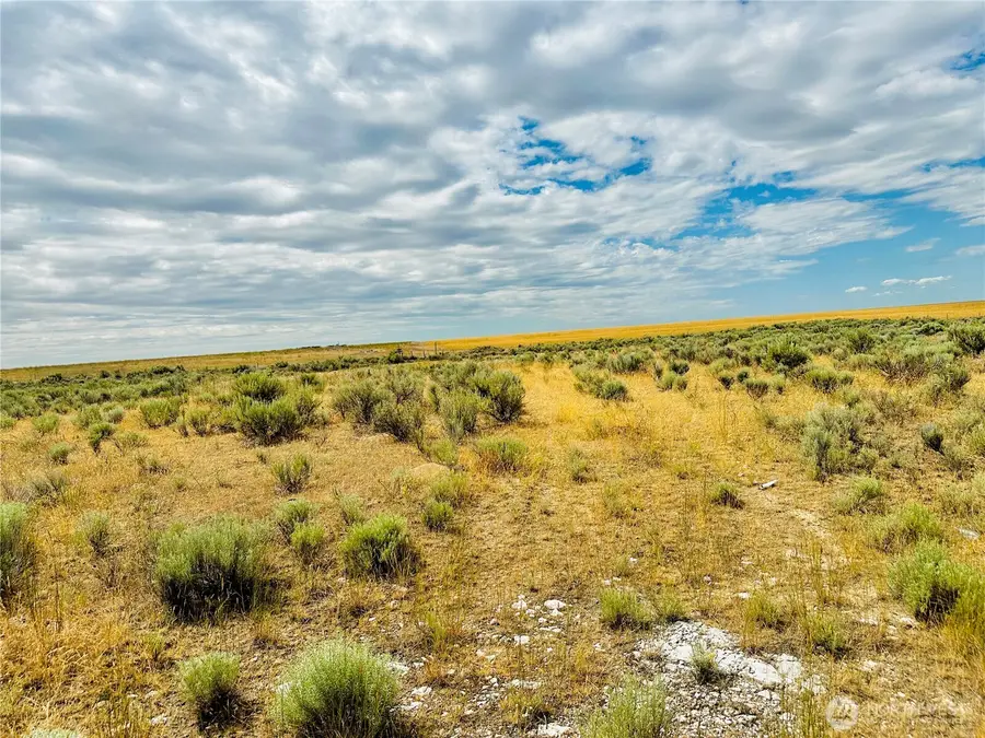 98860 NE Road 21.2, Wilson Creek, WA 98860 - #2
