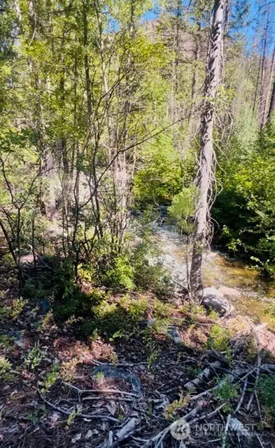 0 E Buttermilk Creek Road, Twisp, WA 98856 - #3