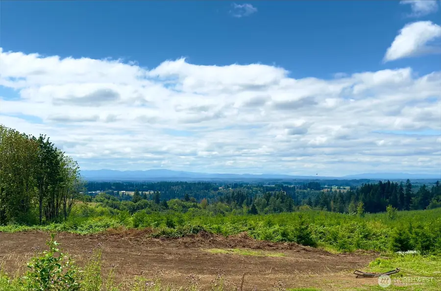 441 Schoen Road, Silver Creek, WA 98585 - #3