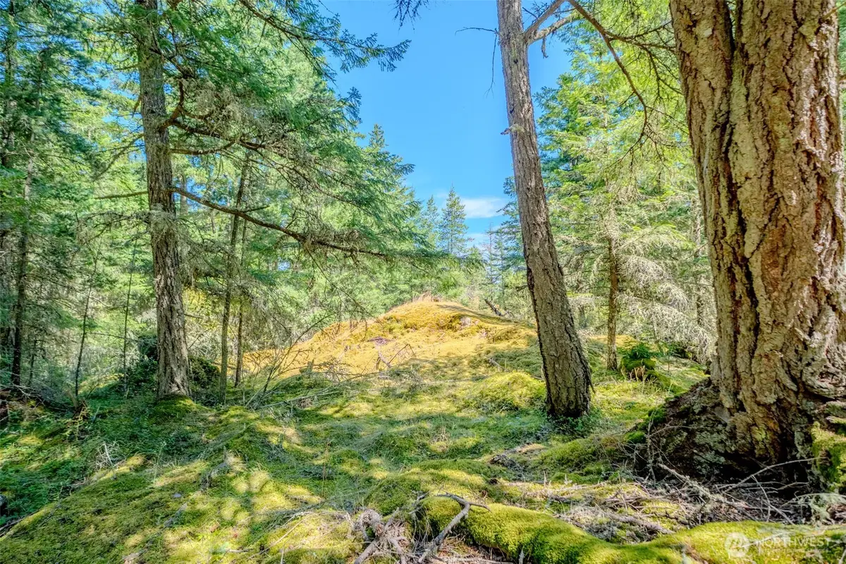 678 Swan Road, Eastsound, WA 98245 - #1
