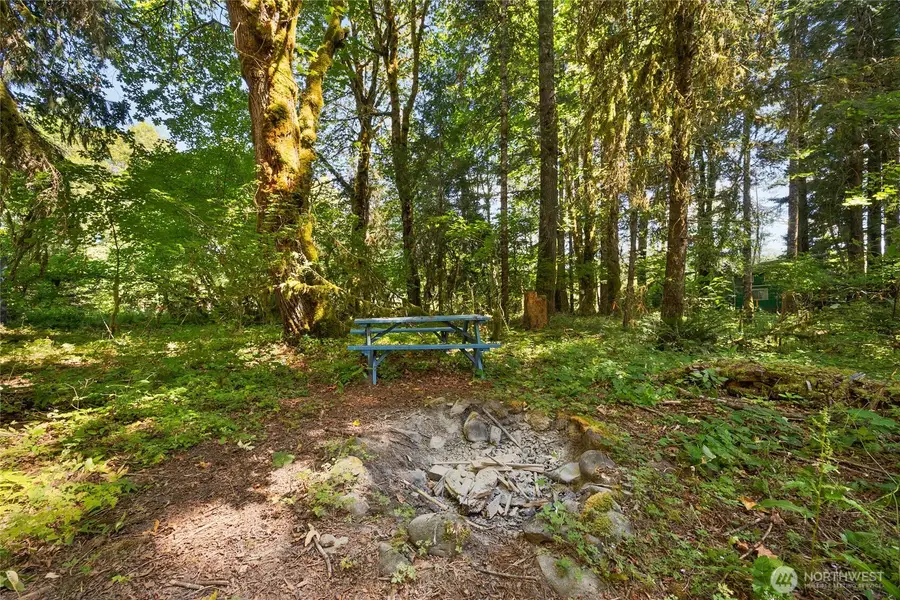 0 Elkhorn Drive, Packwood, WA 98361 - #3