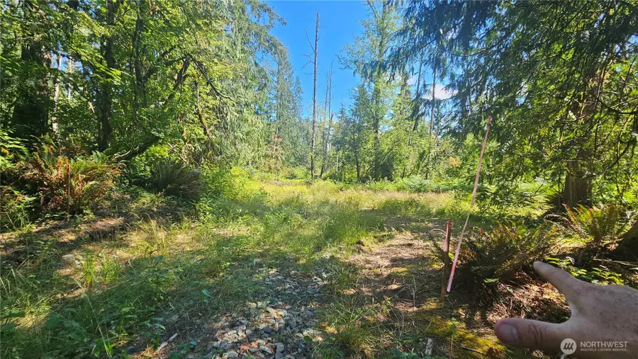 11000 138th Street Ne, Arlington, WA 98223 - #3