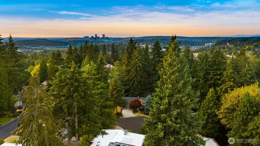 12510 SE 48th Place, Bellevue, WA 98006 - #3
