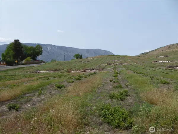 5 Roses View Lane #A, Manson, WA 98831