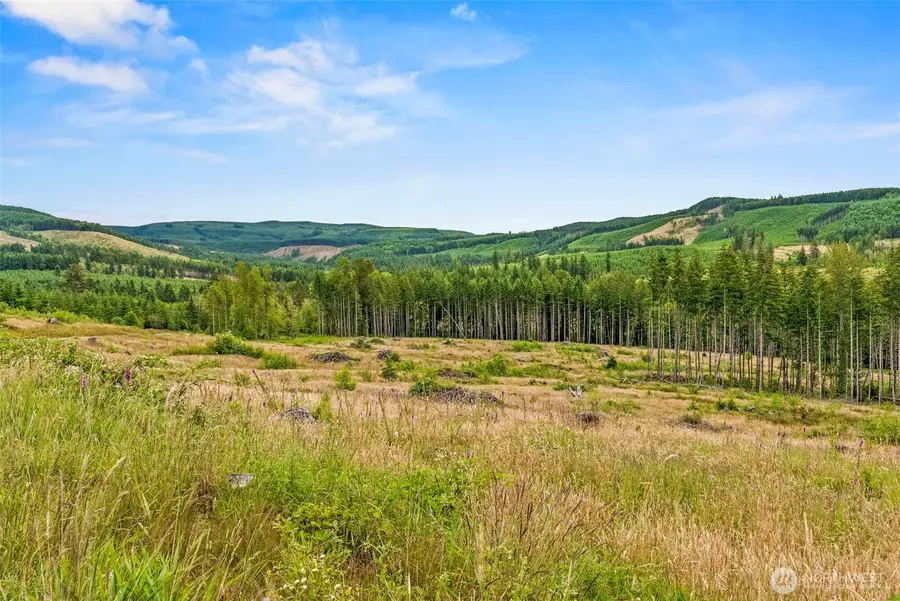 4 Parker Road #Lot 4, Toutle, WA 98649 - #3