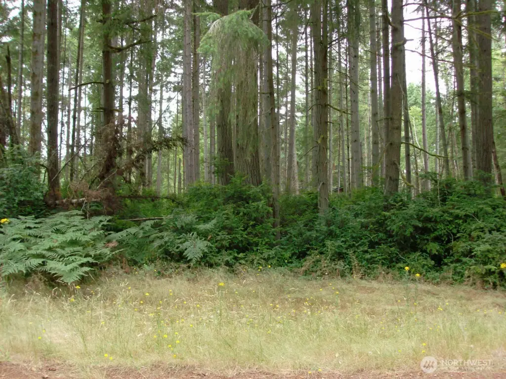 10810 Madrona Drive #109, Anderson Island, WA 98303 - #1
