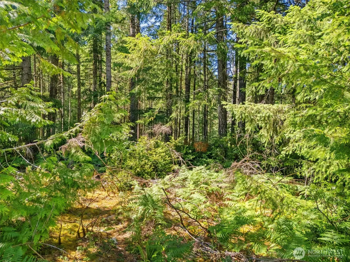 0 E Glenwood Drive #C of SP1357, Union, WA 98592 - #1