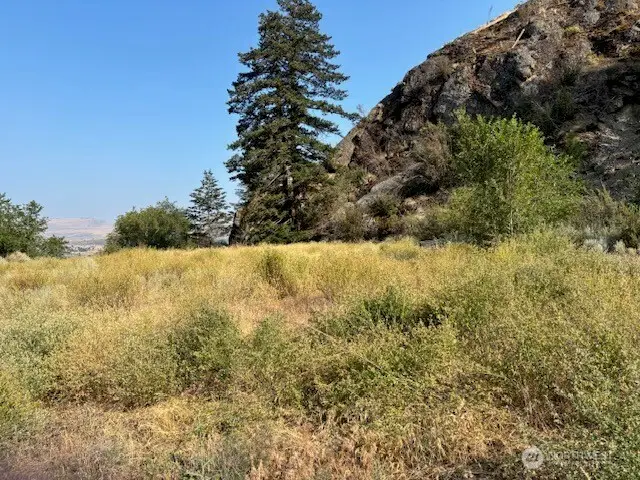 1 Shirley Road N #4, Oroville, WA 98844 - #1