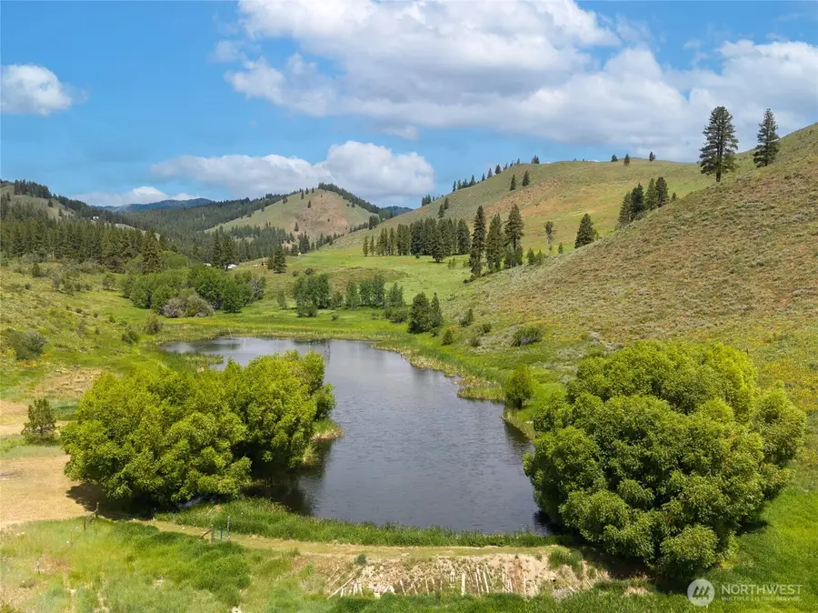 494 Rendezvous Road, Winthrop, WA 98862 - #3