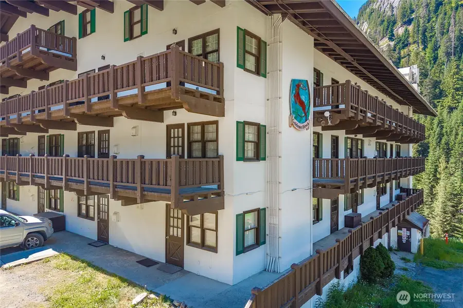 17800 Alpental Access Road #2109, North Bend, WA 98045 - #3