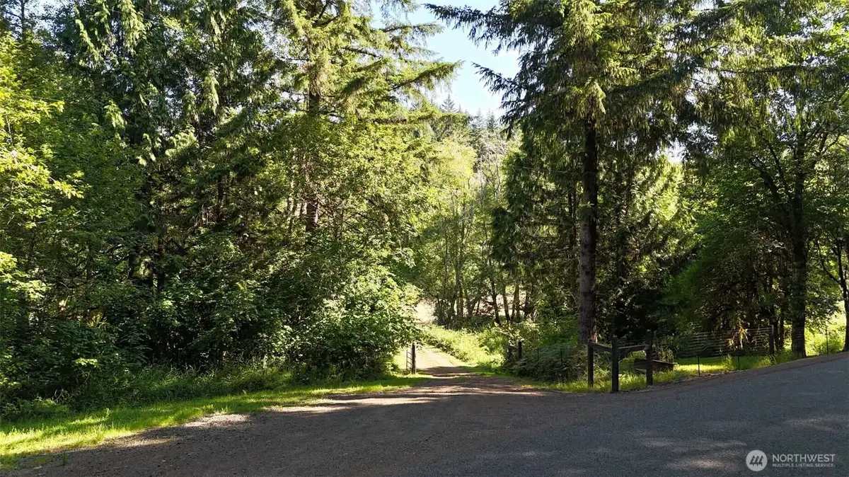 0 Gibson Creek Road, Oakville, WA 98568 - #1