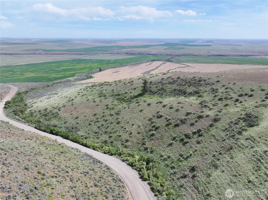 0 Titchenal Canyon Road Sw, Waterville, WA 98858 - #2
