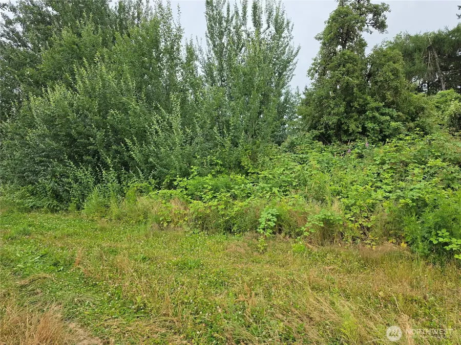 0 Benson Road, Lynden, WA 98264 - #3