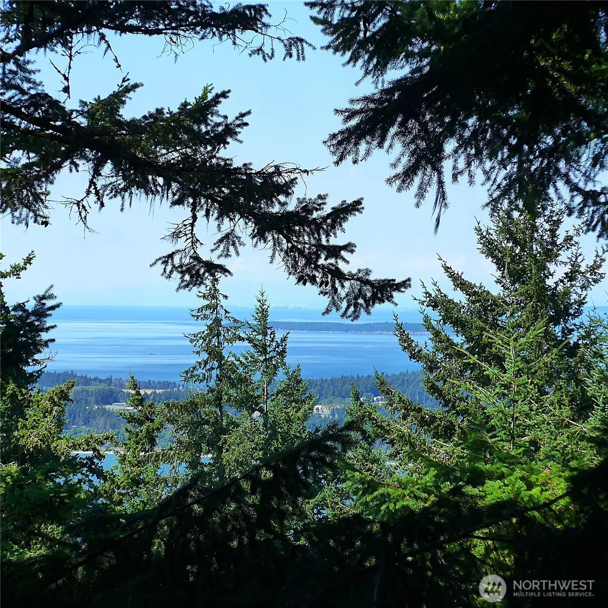 561 Discovery Way, Orcas, WA 98245 - #1