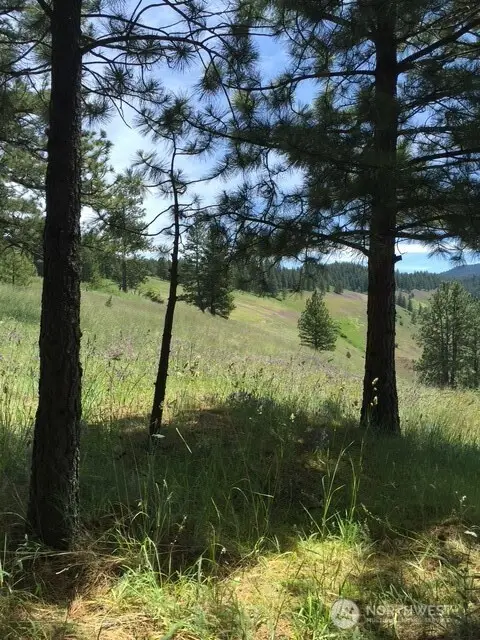 0 Bare Land, Waitsburg, WA 99361 - #2