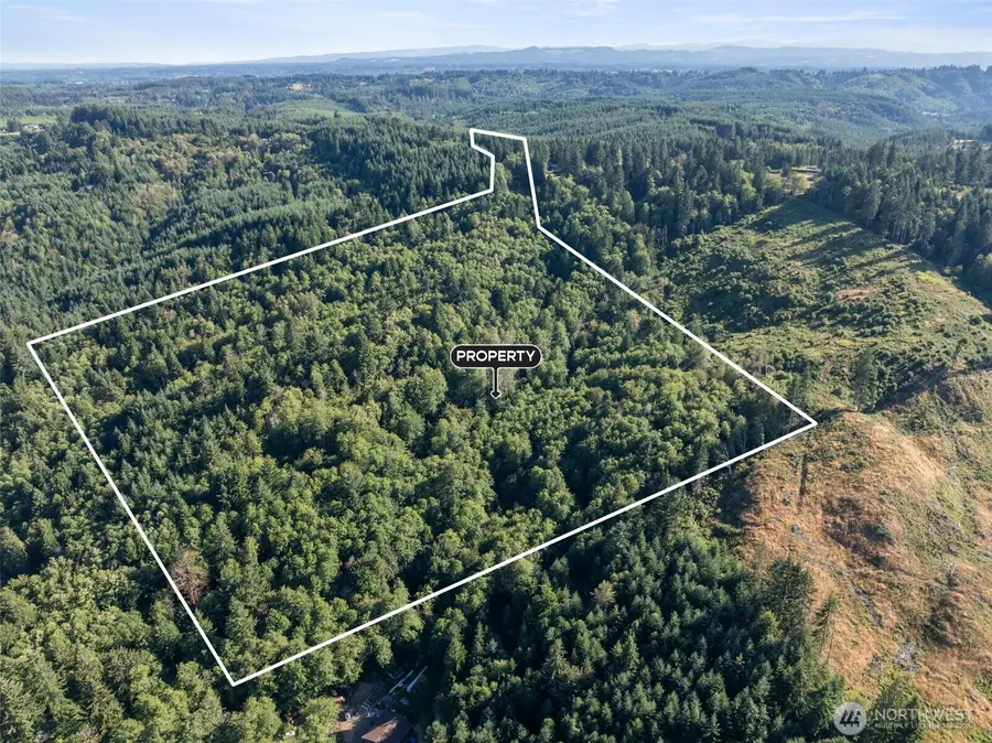 541 Centralia Alpha Road, Chehalis, WA 98532 - #3
