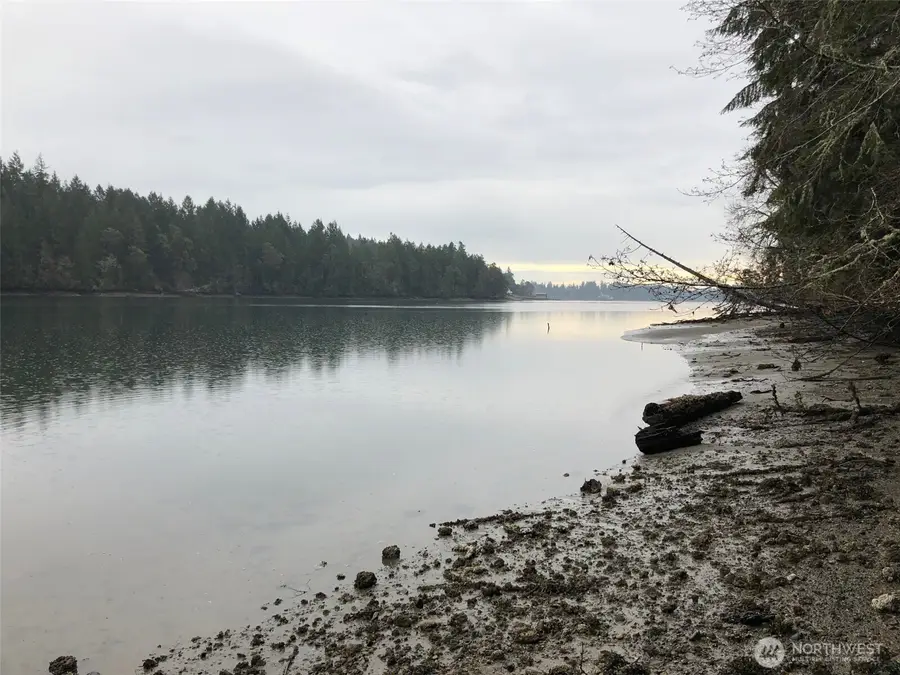 4101 161st Avenue Sw, Longbranch, WA 98351 - #3