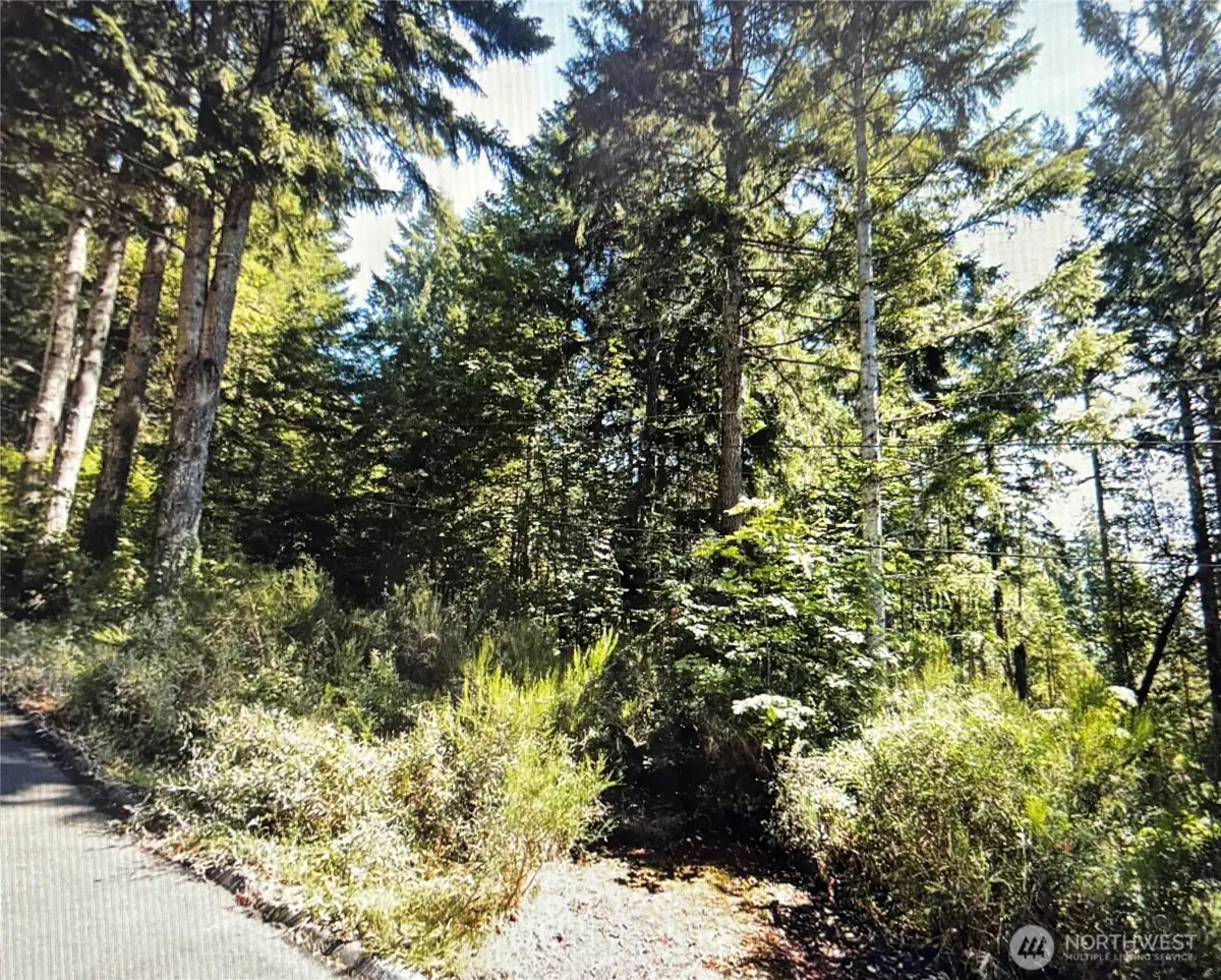 110 Marine View Drive #19, Belfair, WA 98528 - #1