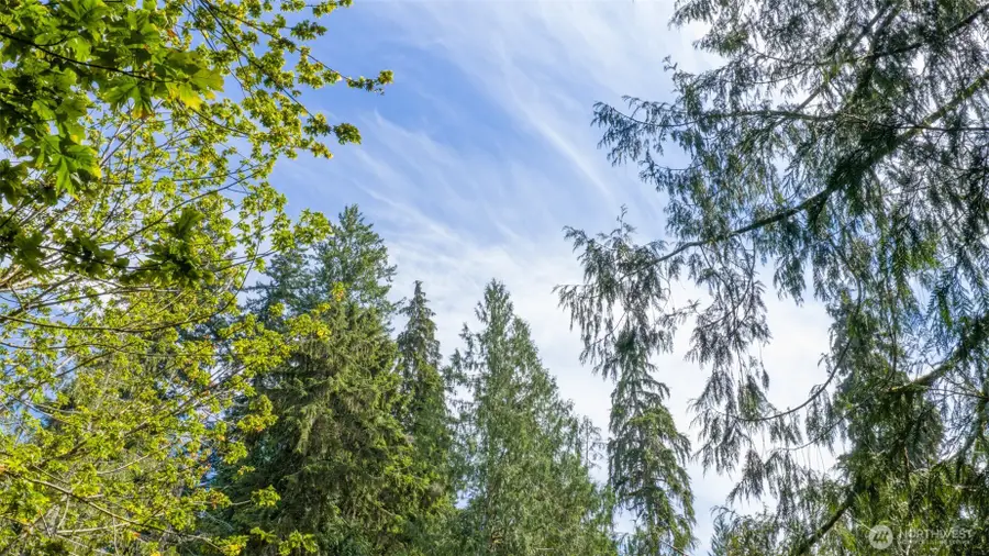 0 N Robinson Road, Lilliwaup, WA 98555 - #3