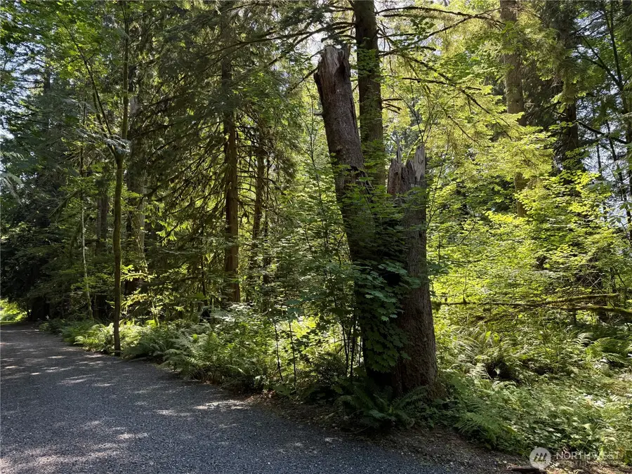 0 Silver Lake Road, Maple Falls, WA 98266 - #3