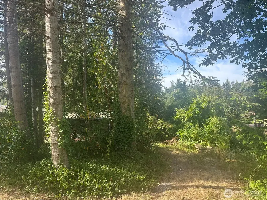 0 Lake Drive #9, Camano Island, WA 98282 - #2