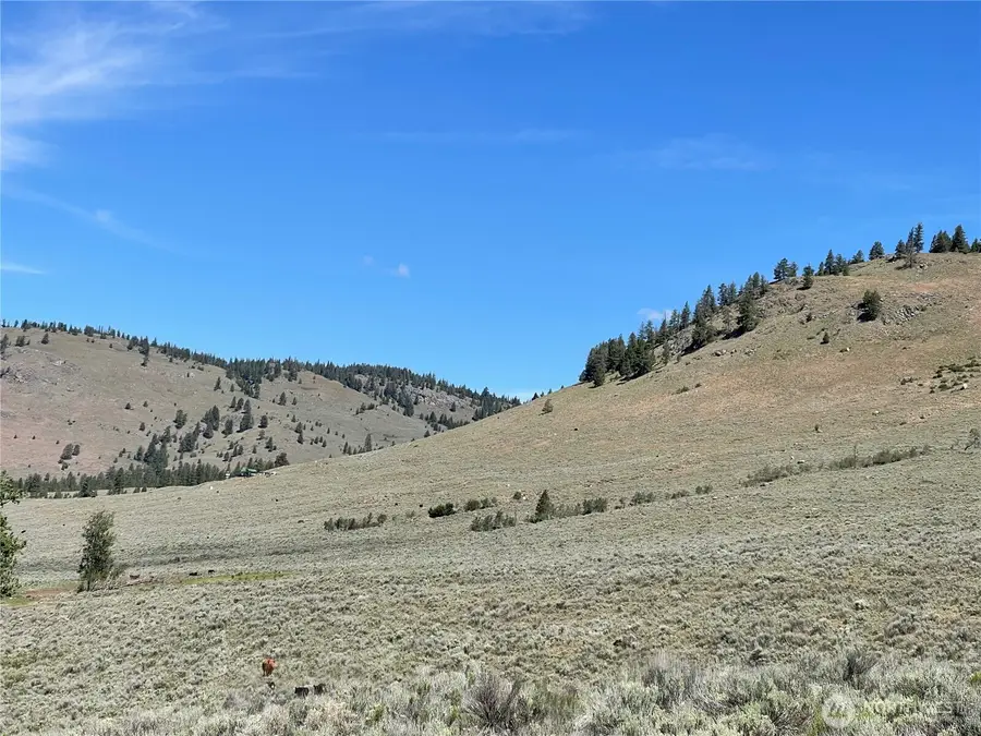 234 One Sky View Drive, Tonasket, WA 98855 - #3