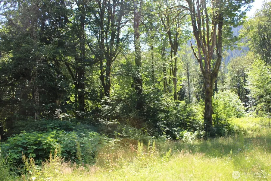 0 South Shore Drive #30, Mount Vernon, WA 98274 - #3