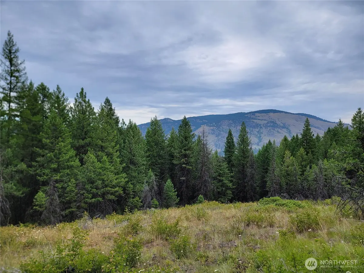 0 Dragon's Lair Lane, Curlew, WA 99118 - #1